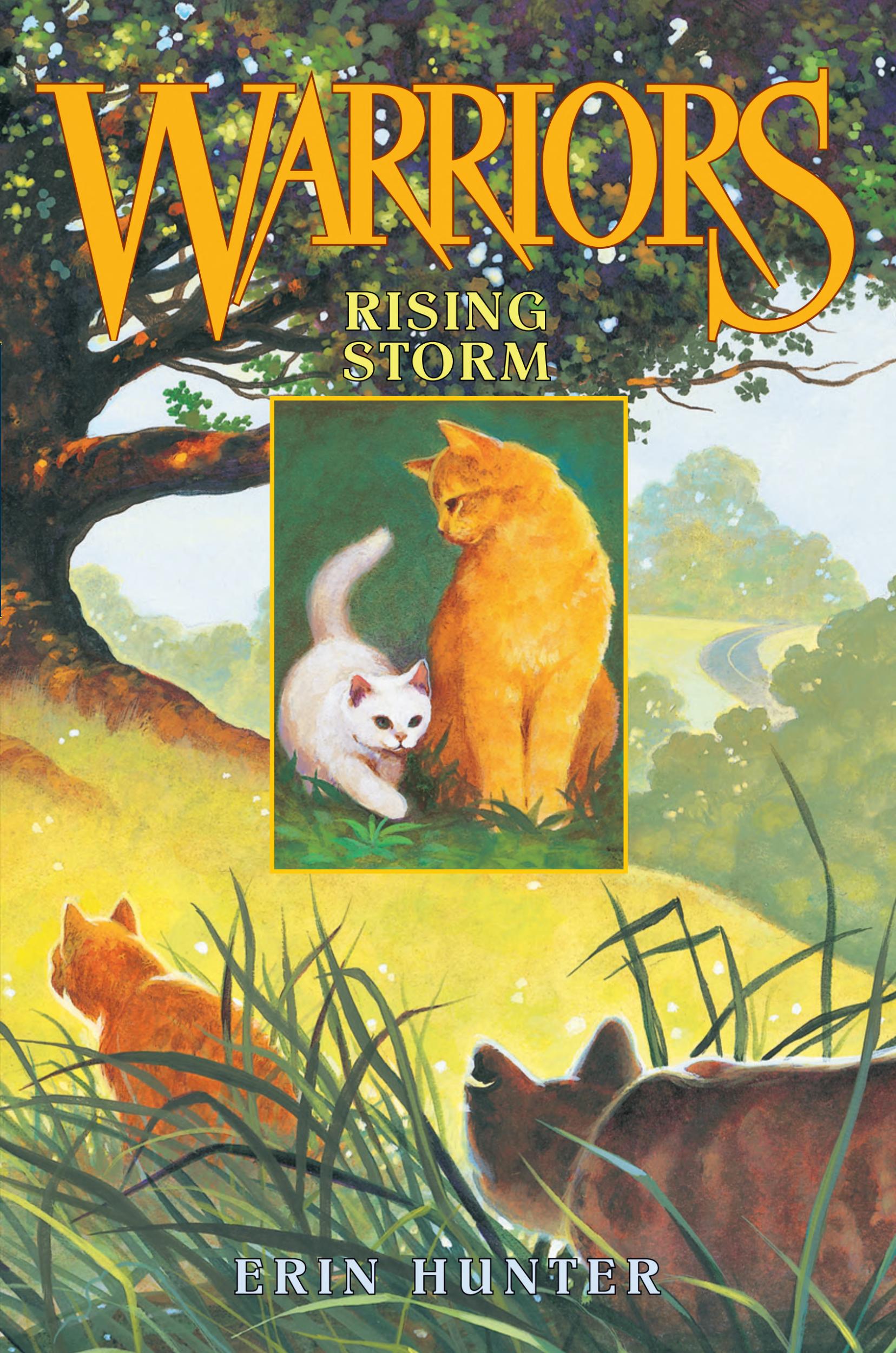 Warrior Cats Dawn Books Warrior Cats Dawn Books
