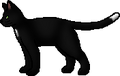 ravenpaw plush