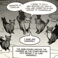 Medicine Cat Ceremony Warriors Wiki Fandom