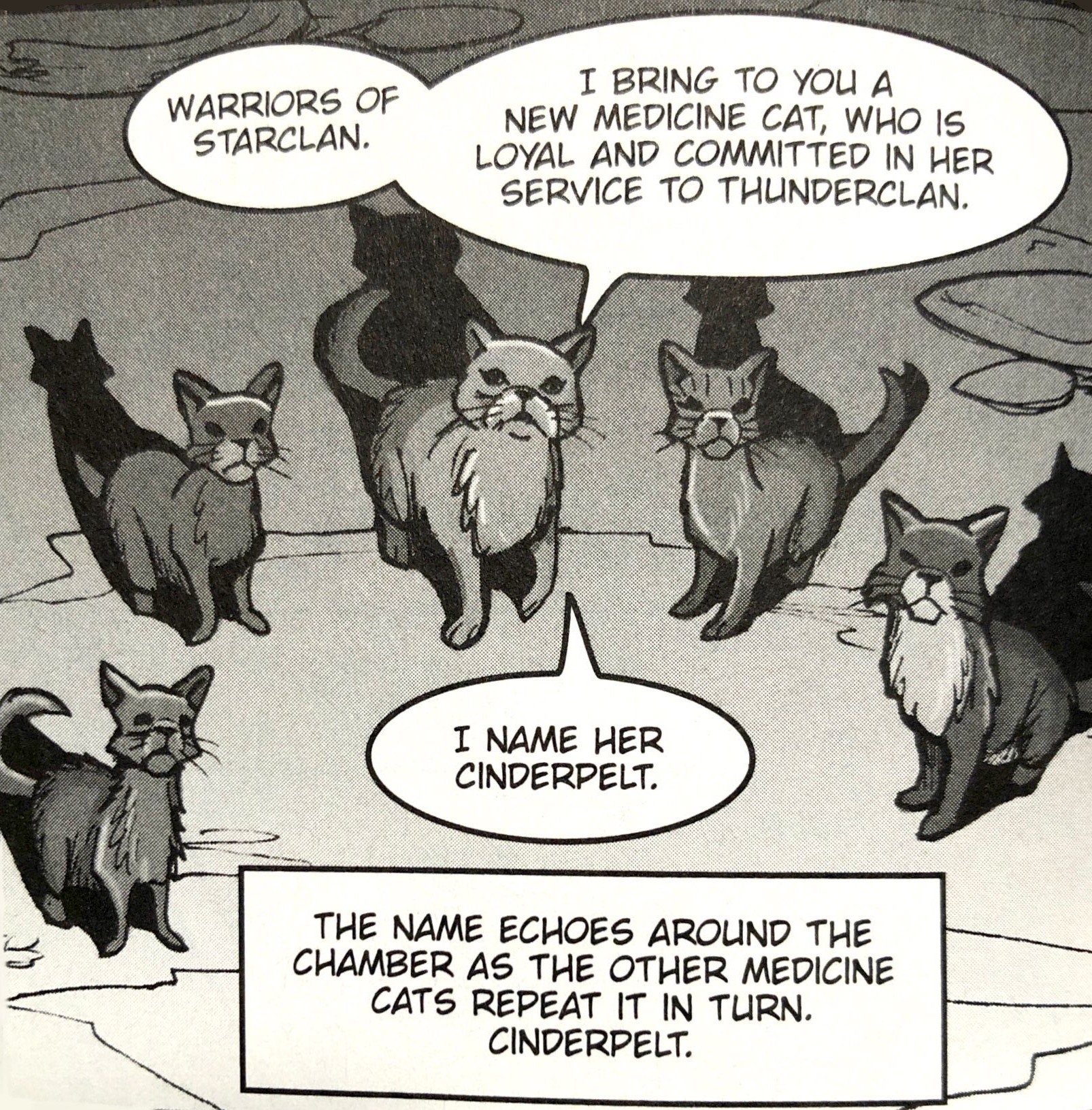 medicine-cat-ceremony-warriors-wiki-fandom