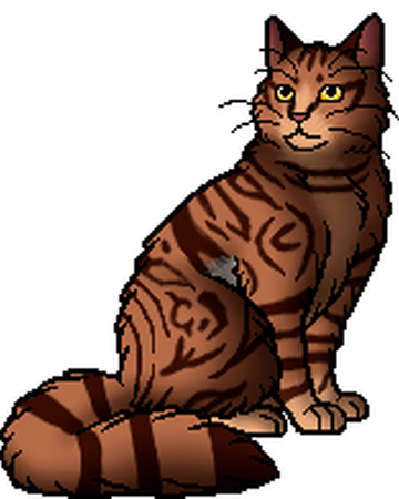 Lizardstripe Warriors Wiki Fandom
