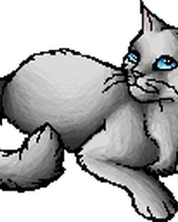Dawnflower Warriors Wiki Fandom