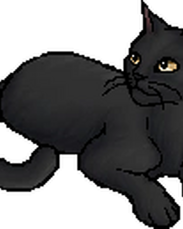 Swallowtail Wc Warriors Wiki Fandom Swallowtail Wc Warriors Wiki Fandom