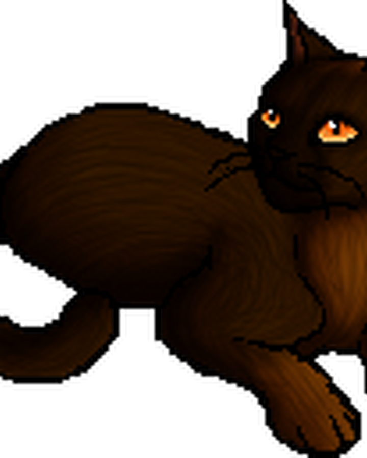 Oakstar Warriors Wiki Fandom