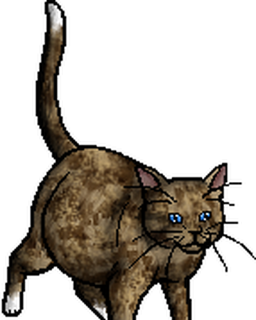 Owl Song Warriors Wiki Fandom