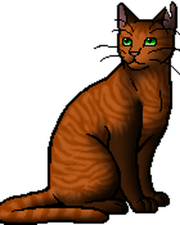 Amberleaf Warriors Wiki Fandom