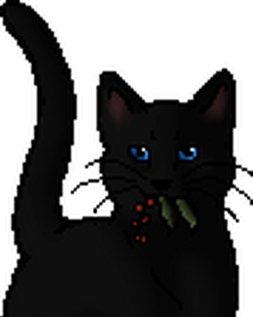 Ravenwing Warriors Wiki Fandom
