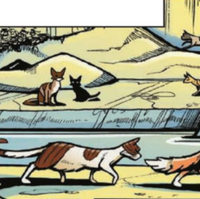 Skyclan Warriors Wiki Fandom