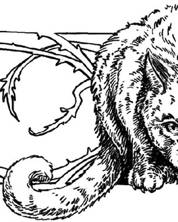 Into The Wild Chapter 2 Warriors Wiki Fandom
