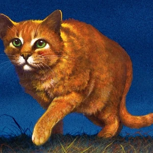 Firestar Warriors Wiki Fandom