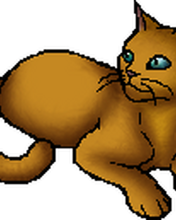 Seedpaw Warriors Wiki Fandom