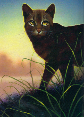 File:StellaBuia.png
