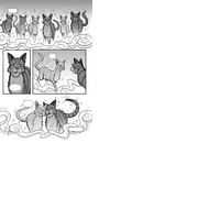 Starclan Warriors Wiki Fandom