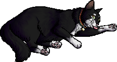 Benny Warriors Wiki Fandom