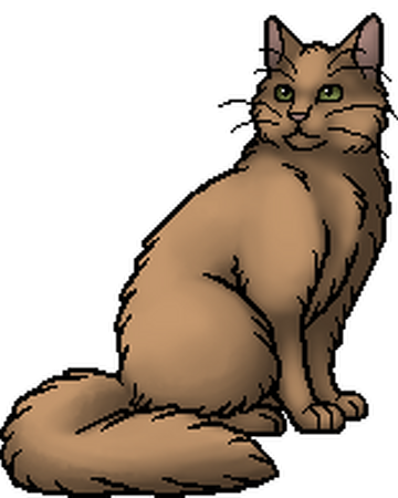 Appledusk Warriors Wiki Fandom