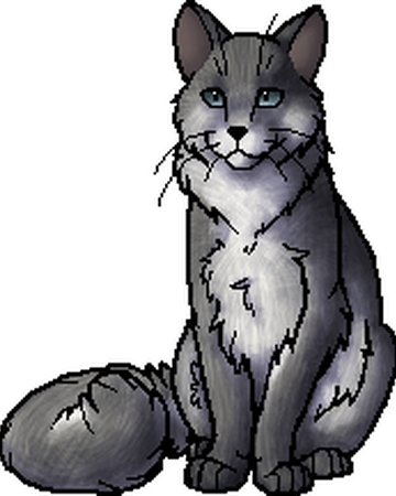 Fog Warriors Wiki Fandom