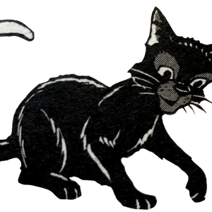 Ravenpaw Main Article Warriors Wiki Fandom