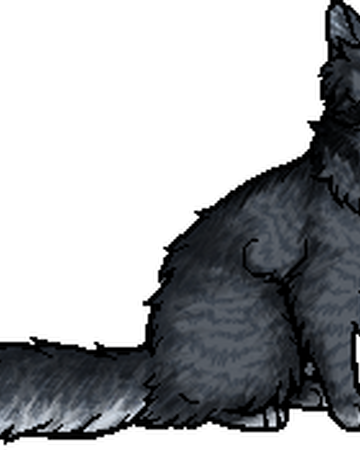 Jay S Wing Warriors Wiki Fandom