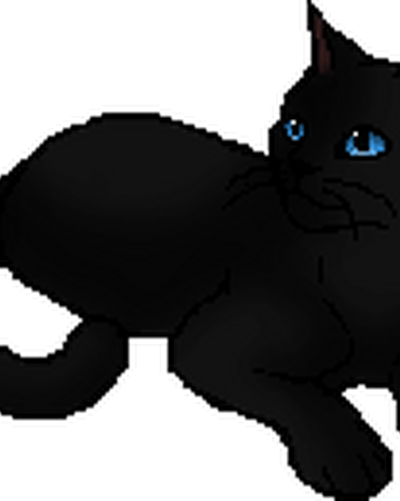 Moon Shadow Warriors Wiki Fandom