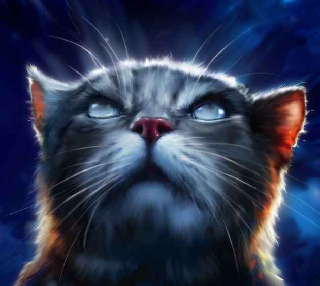Category:Medicine cats | Warriors Wiki | Fandom