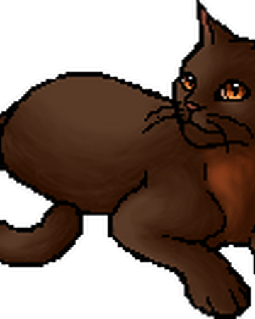 Good Warrior Cat Names For Brown She Cats لم يسبق له مثيل الصور