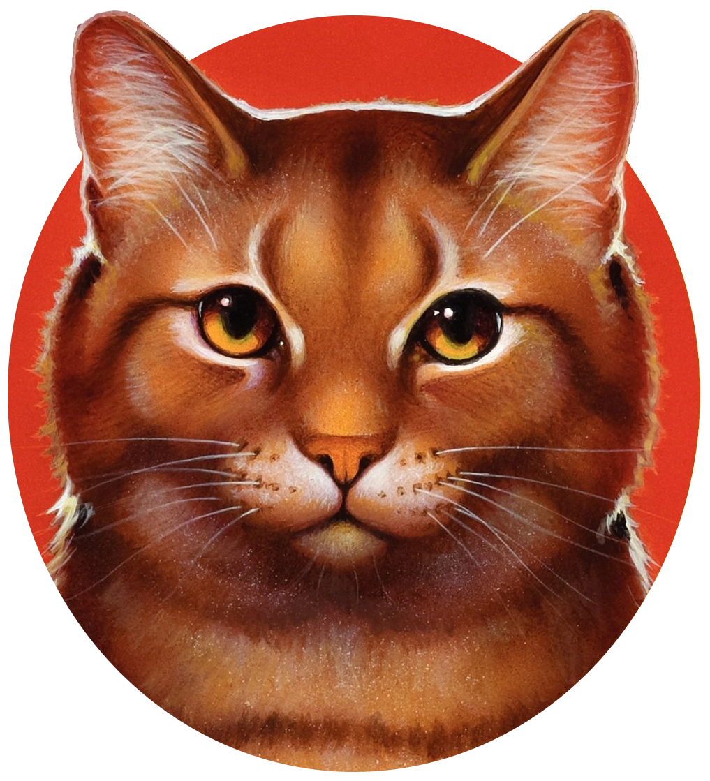 CategoryAfter Sunset We Need to Talk characters Warriors Wiki