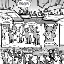 Warrior Ceremony Warriors Wiki Fandom