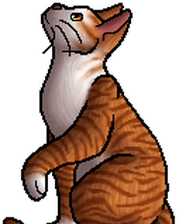 Broken Shadow Warriors Wiki Fandom
