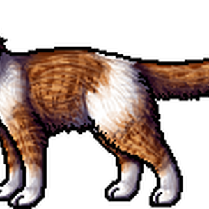 Dawn Mist Warriors Wiki Fandom