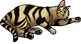 Thumbnail for version as of 17:27, September 27, 2017