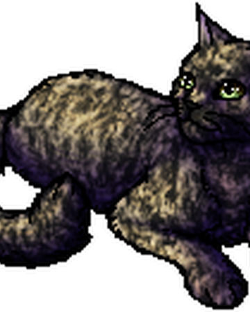 Olivenose Warriors Wiki Fandom