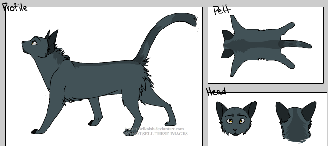 Ashblaze WolfClan ref
