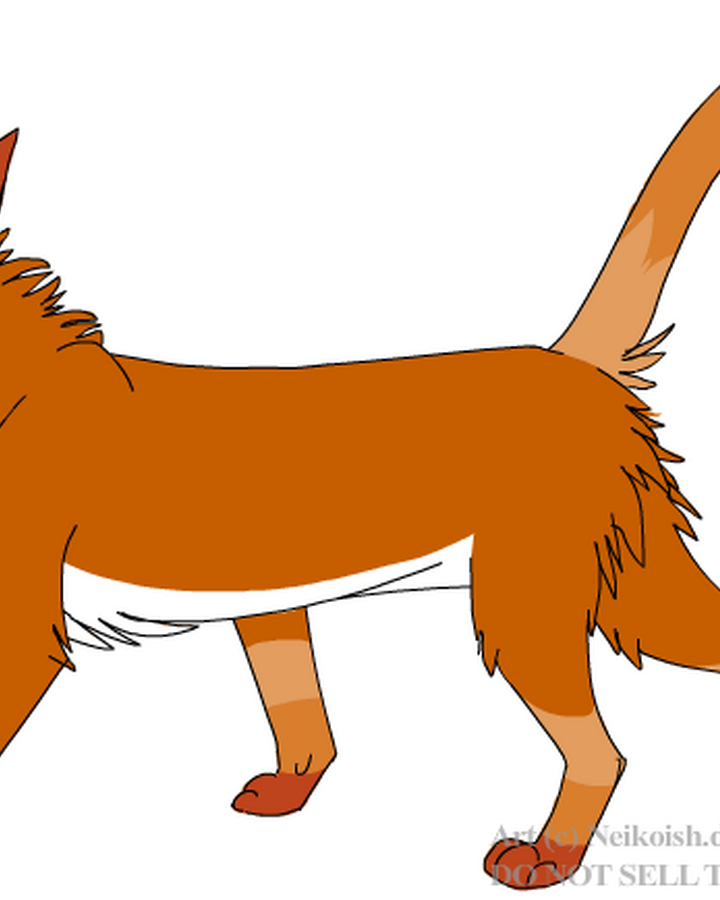 Cherrypaw Thunderclan Warriors Fanon Wiki Fandom