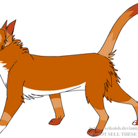Cherrypaw Thunderclan Warriors Fanon Wiki Fandom
