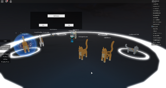 How To Roleplay Warrior Cats On Roblox Warriors Fanon Wiki Fandom - how to make a good roblox morph warrior cats forest territory