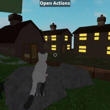 Warrior Cats The Lake Project Roblox Warriors Fanon Wiki Fandom