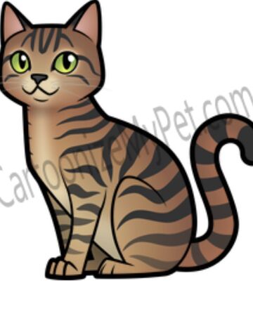 Stripewhisker Warriors Fanon Wiki Fandom - how to roleplay warrior cats on roblox warriors fanon wiki