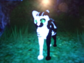 Warrior Cats The Lake Project Roblox Warriors Fanon Wiki Fandom - roblox warrior cats ultimate edition morphs