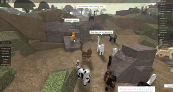 Warrior Cats Forest Territory Roblox Discord