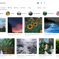 Moon S Crash Course In Aesthetic Characters Warriors Fanon Wiki