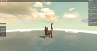 Roblox Warrior Cats Morph Ideas How To Roleplay Warrior Cats On Roblox Warriors Fanon Wiki Fandom