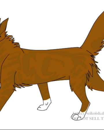 Dawnstar Joceyb23 Warriors Fanon Wiki Fandom