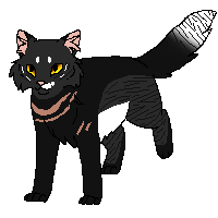 Hawkrunner Cats Of The Moonfall Wikia Fandom - moonfall roblox