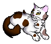 Hawkfeather-starclan-0