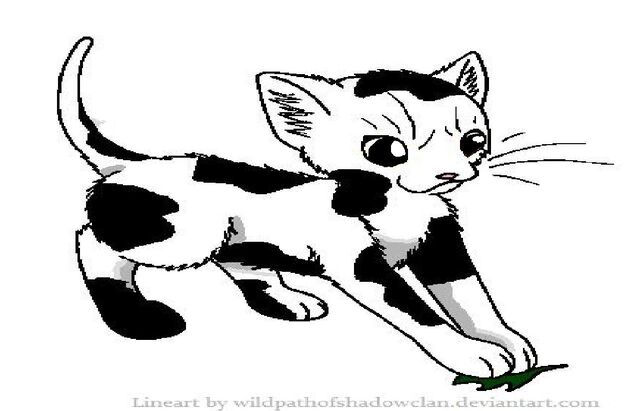 File:Swiftpaw2.jpg