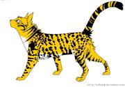 Leopardspotneko