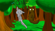 Cold