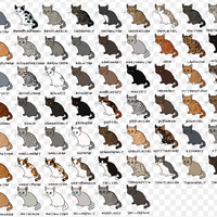 The Official Feathertail Copyrighted Encyclopedia For Warrior Cats