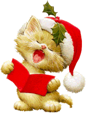 Kerstkat
