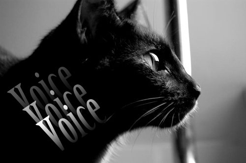 Voice